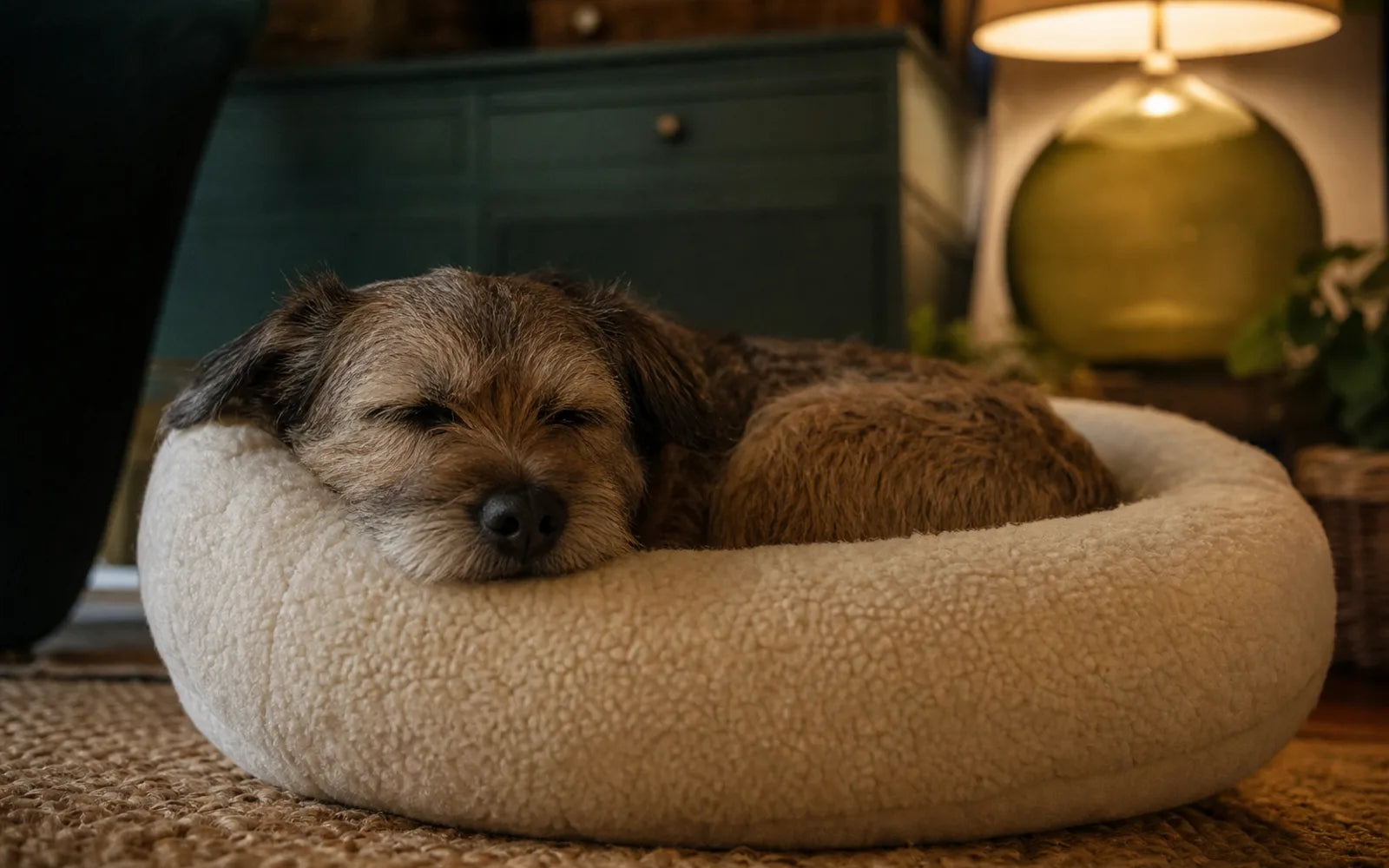 A dog curled deeply into a round plush bed with its chin resting on the raised rim