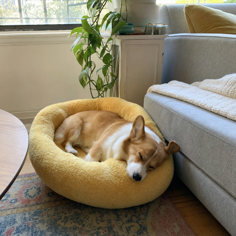 Photo from Amanda K. • Waffles